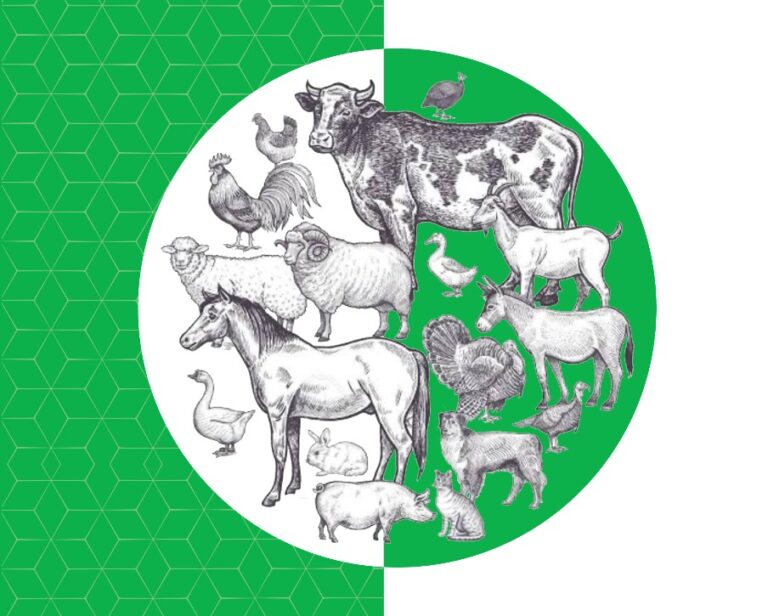 whatsapp image 2025 11 25 at 14.32.27 730a1ffe