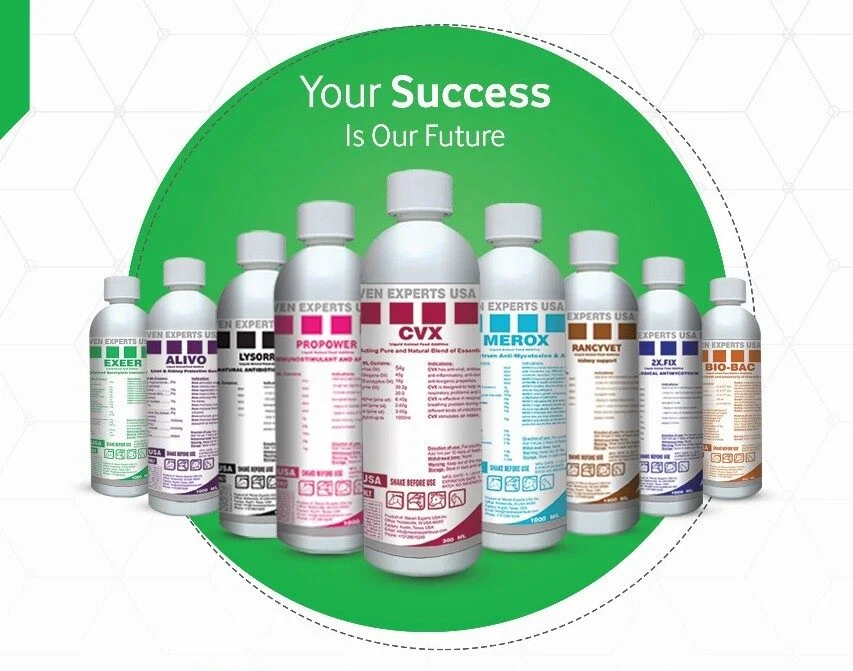 whatsapp image 2025 11 25 at 14.32.28 8949e3db1